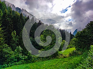 mountain forest on a sunny and cloudy day