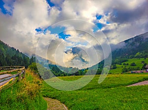 mountain forest on a sunny and cloudy day