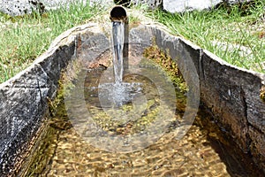 The mountain fountain and the wooden trough