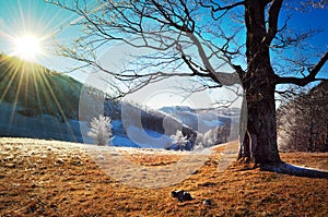Mountain frosty lanscape, winter scene