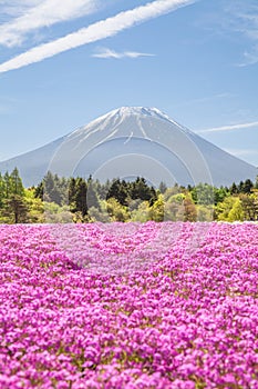 Mountain Fuji