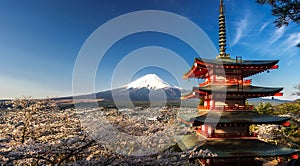 Mountain Fuji with cherry blossom at Chureito Pagoda, Fujiyoshida, Japan