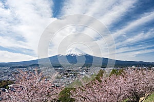 Mountain Fuji cherry blossom Japan spring season Landscape