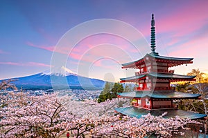 Mountain Fuji and Chureito red pagoda with cherry blossom sakura