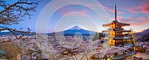 Mountain Fuji and Chureito red pagoda with cherry blossom sakura