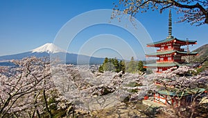 Mountain Fuji and Chureito red pagoda with cherry blossom sakura