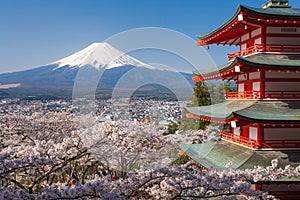 Mountain Fuji and Chureito red pagoda with cherry blossom sakura