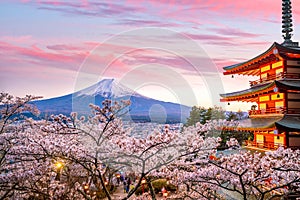 Mountain Fuji and Chureito red pagoda with cherry blossom sakura