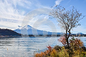 Mountain fuji and lake kawaguchiko, Japan.