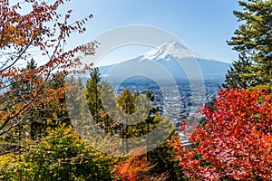 Mountain Fuji and maple in Autumn season