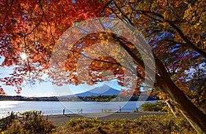 Mountain fuji with red maple in Autumn season, Kawaguchiko Lake, Japan