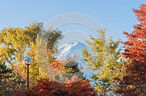 Mountain Fuji with red maple leaves or fall foliage in colorful autumn season near Fujikawaguchiko, Yamanashi. Five lakes. Trees