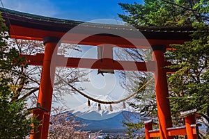 Mountain Fuji in spring ,Cherry blossom Sakura