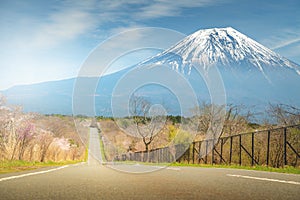 Mountain fuji in spring,Japan mountain