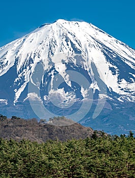 Mountain fuji in spring,Japan mountain