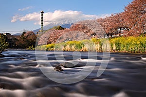 Mountain Fuji at Uruigawa river