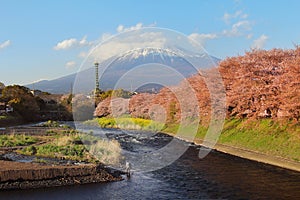 Mountain Fuji at Uruigawa river