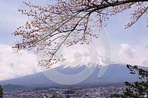 Mountain Fujiyama, a remarkable land mark of Japan in a cloudy day with cherry blossom or Sakura in the frame. The picture of