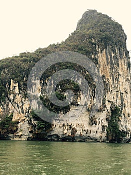 Mountain full of trees and grass