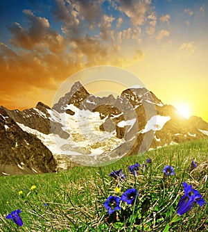 Mountain Gabelhorn at sunset