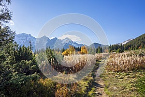 A mountain glade  Rakuska in the Belianske Tatras in autumn. In the background, a view of the peaks of the High Tatras