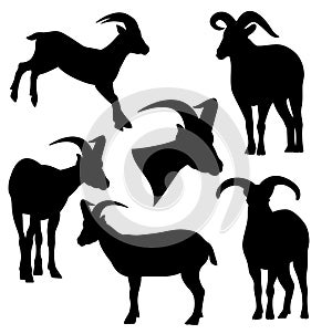 Mountain goat black and white vector silhouette set