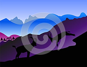 The mountain goat silhouette  illustration