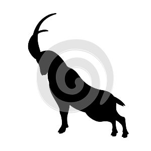 Mountain goat vector illustration black silhouette