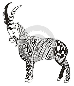 Mountain goat, zentangle stylized, vector, illustration, freehand pencil