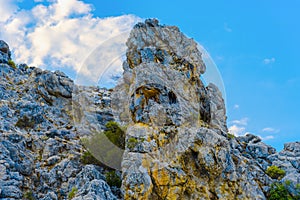 Mountain goats on top of rock