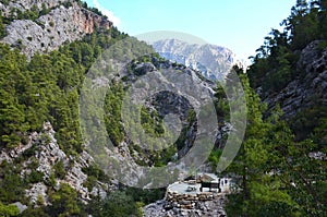 Mountain gorge, overgrown with trees, in Goynuk canyon near Kemer, Turkey