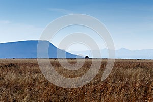 Mountain And Grass Landscape - Cradock photo