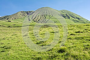 Mountain and grassy plain