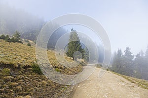 Mountain gravel road leading to a cabana 