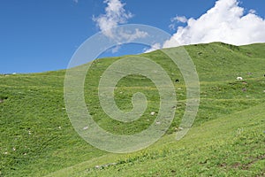 Mountain with green grass and blue sky partly cloudy.