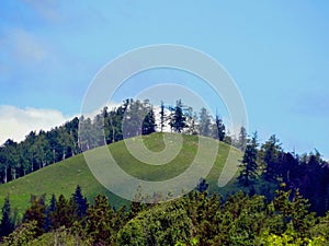 Mountain with growing trees against the blue sky