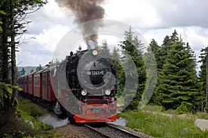 Mountain Harz,Germany