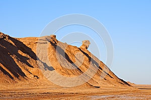 Mountain Head of Camel in Sahara desert