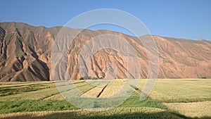 mountain and highland barley