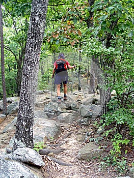 Mountain Hiker