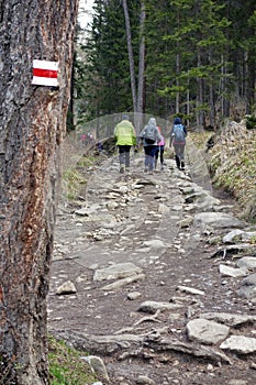 Mountain hiking concept. hikers walking on a mountain trail.