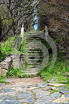 Mountain Hiking Path