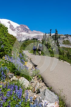 Mountain Hiking Trail photo