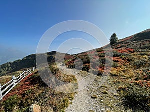 mountain hiking trail above the tree line with a wooden fence of a mountain meadow in fall colors