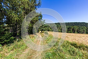 Mountain hiking trail in Beskid Sadecki near Krynica Zdroj in Poland