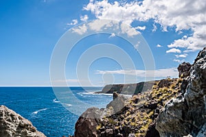 Mountain hiking trail with cliff rocks with selective focus by the Atlantic Ocean on Terceira Island - Azores PORTUGAL photo