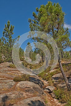 Mountain hiking trail in the Portuguese countryside