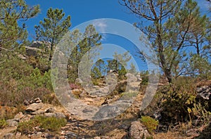 Mountain hiking trail in the Portuguese countryside