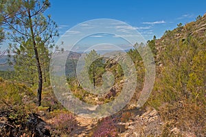 Mountain hiking trail in the Portuguese countryside