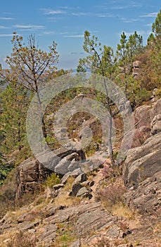 Mountain hiking trail in the Portuguese countryside